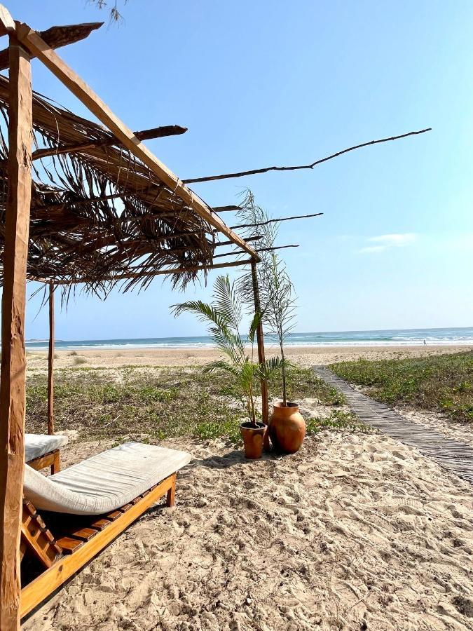 مبيت وإفطار Praia do Tofo Liquid Dive Adventures المظهر الخارجي الصورة