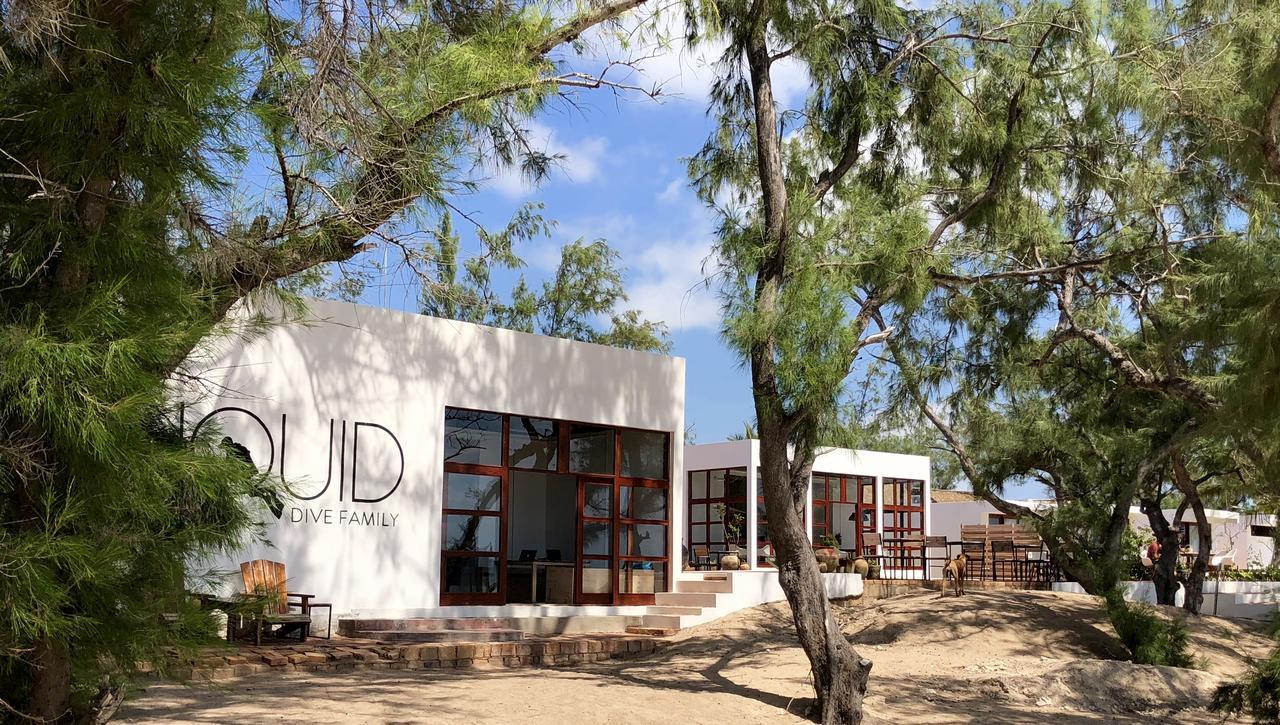 مبيت وإفطار Praia do Tofo Liquid Dive Adventures المظهر الخارجي الصورة